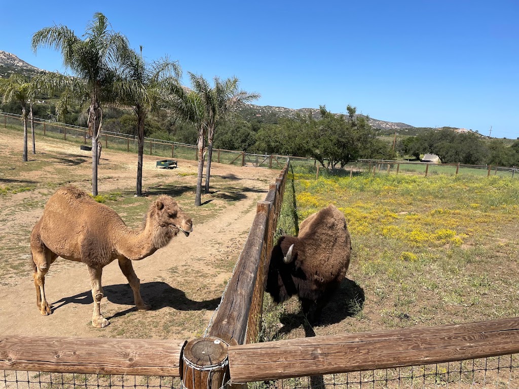 San Diego Animal Sanctuary and Farm by the Childrens Nature Retreat Foundation | 5178 Japatul Spur, Alpine, CA 91901, USA | Phone: (619) 320-4942