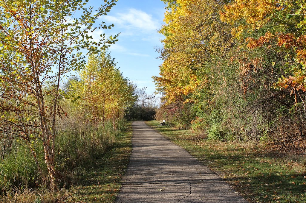 Rice Marsh Lake Park | 8811 Erie Cir, Chanhassen, MN 55317 | Phone: (952) 227-1100