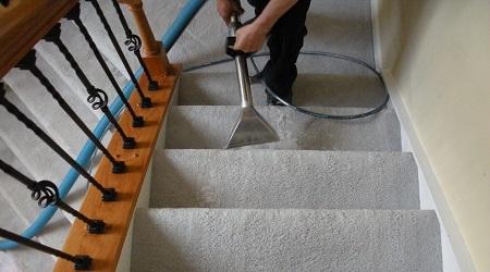 Carpet Cleaning Irving TX | 2310 W Shady Grove Rd, Irving, TX 75060, USA | Phone: (214) 519-8493