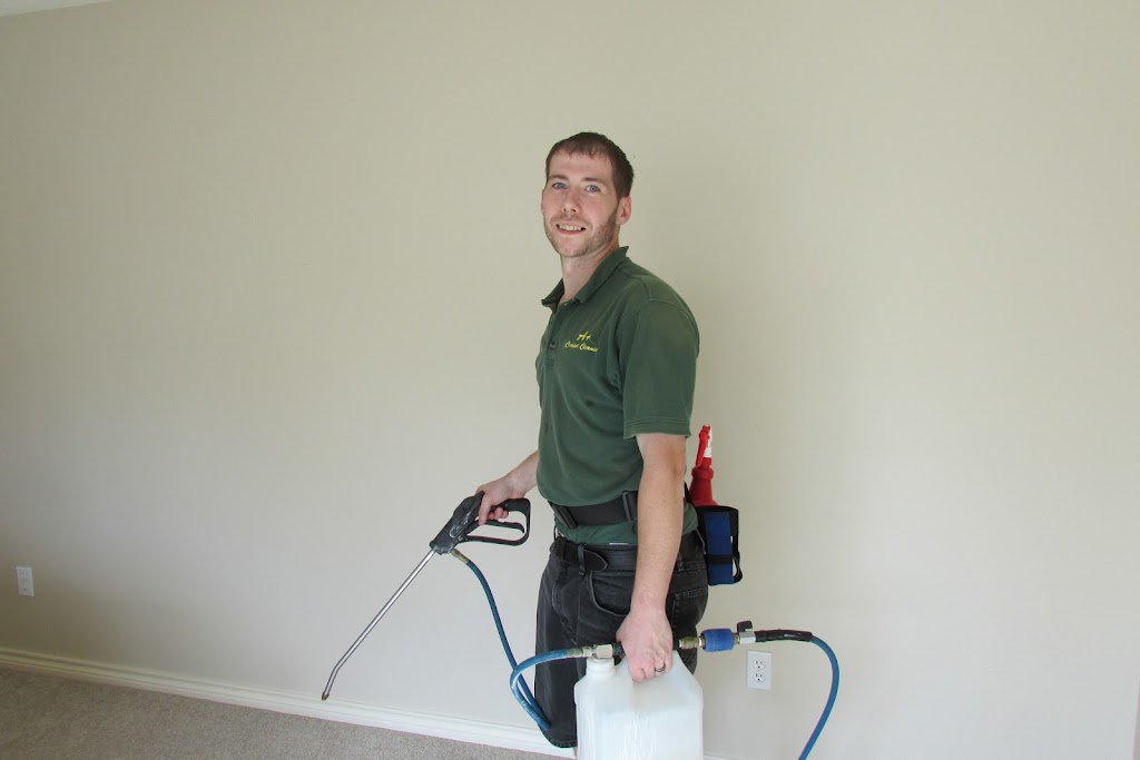 A+ Carpet Cleaning - Hillsboro | 6133 SE Maple St, Hillsboro, OR 97123, USA | Phone: (503) 314-7453