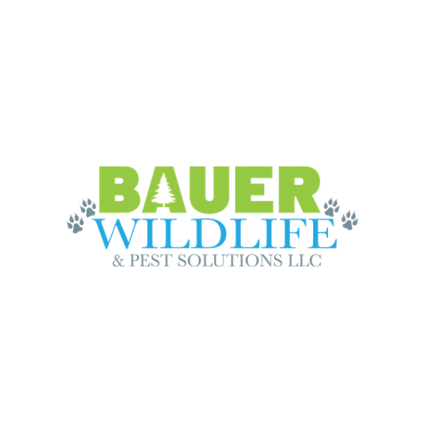 Bauer Wildlife & Pest Solutions | 7587 Kettle View Dr, West Bend, WI 53090, USA | Phone: (262) 675-4139