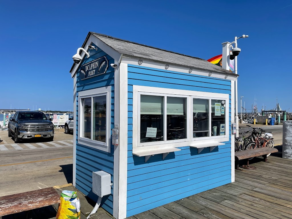 Dolphin Whale Watch | 307 Commercial St #1, Provincetown, MA 02657, USA | Phone: (508) 240-3636