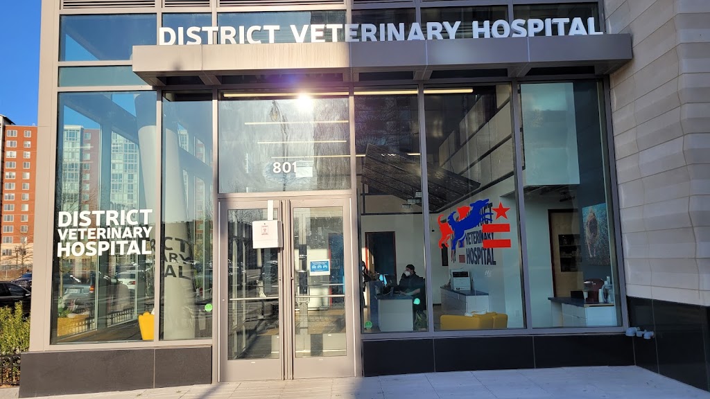 District Veterinary Hospital - Navy Yard | 801 2nd St SE, Washington, DC 20003, USA | Phone: (202) 964-5623