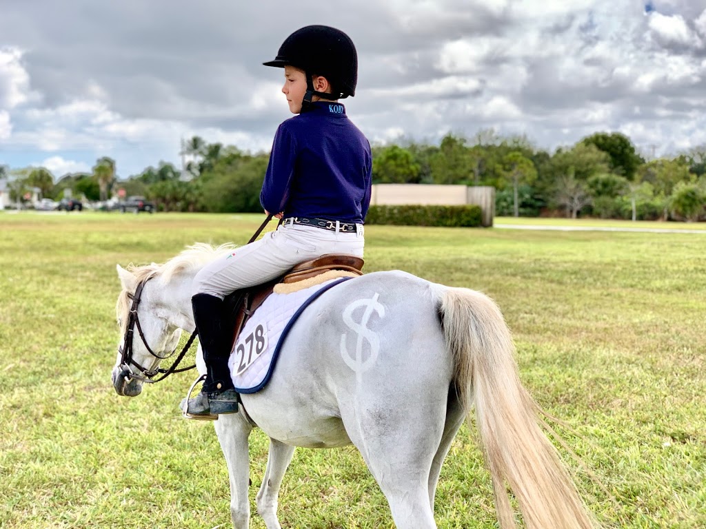 Cloudy Skies Equestrian | 14661 W Palomino Dr, Southwest Ranches, FL 33330, USA | Phone: (305) 989-0967