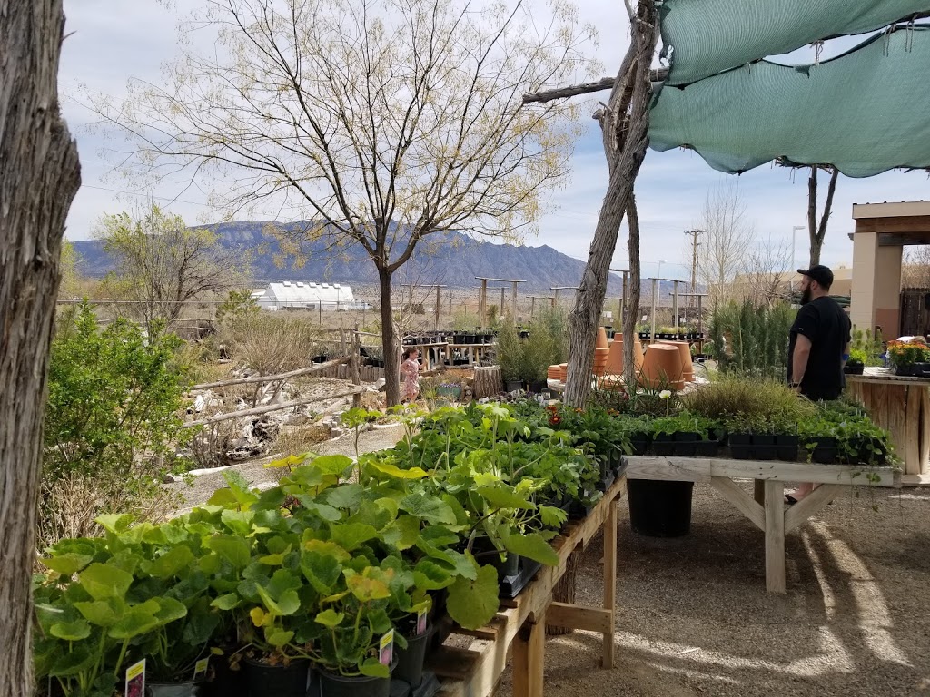 Santa Ana Garden Center | 960 US-550, Bernalillo, NM 87004 | Phone: (505) 867-1322