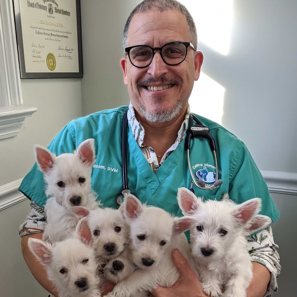 Central Monmouth Animal Hospital : Neil Bloom DVM | 154 South St, Freehold, NJ 07728, USA | Phone: (732) 462-1876