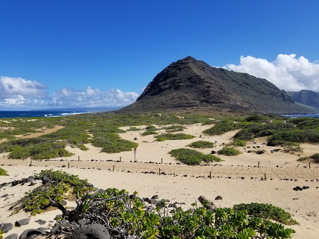 Kaʻena Point Trail | Farrington Hwy, Waialua, HI 96791, USA | Phone: (808) 587-0300