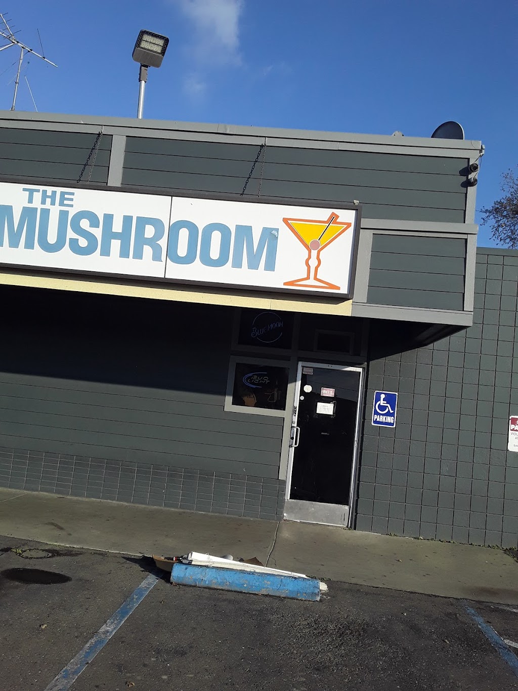 Mushroom | 3637 S Port Dr, Sacramento, CA 95826, USA | Phone: (916) 363-0302