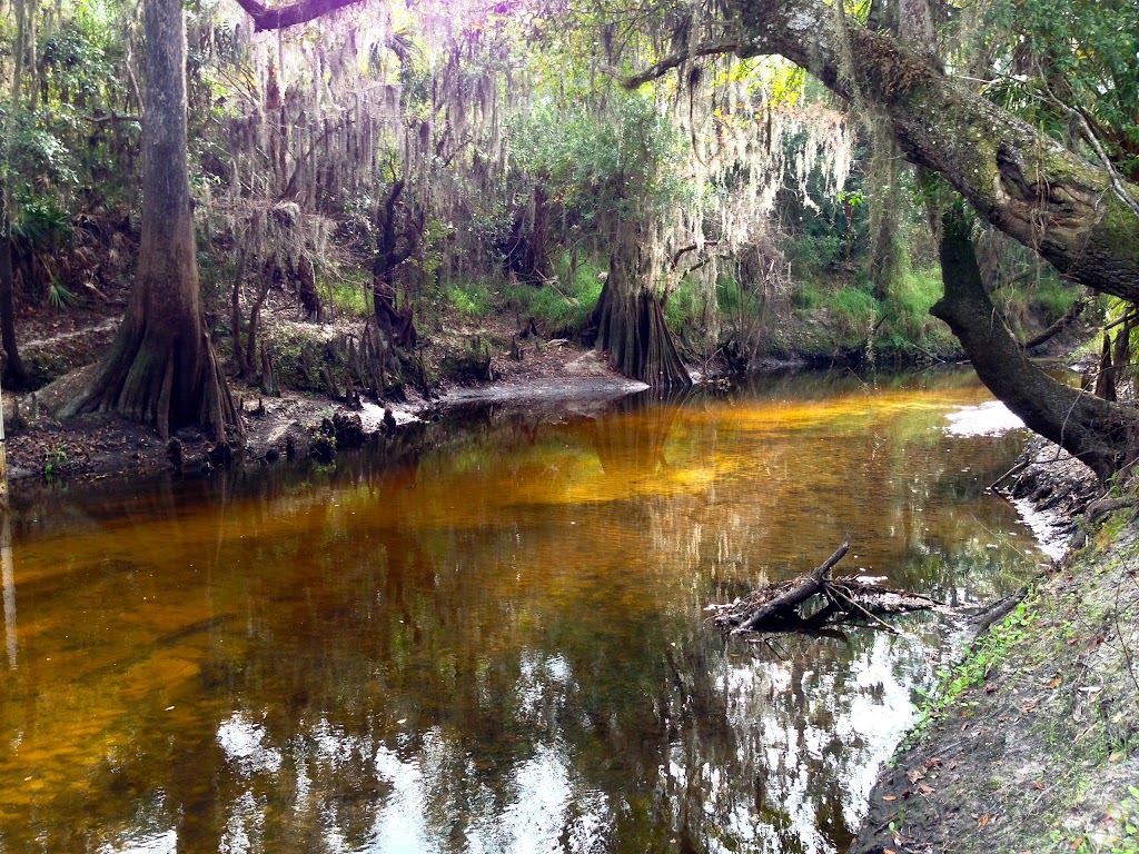 Paynes Creek Historic State Park | 888 Lake Branch Rd, Bowling Green, FL 33834, USA | Phone: (863) 375-4717