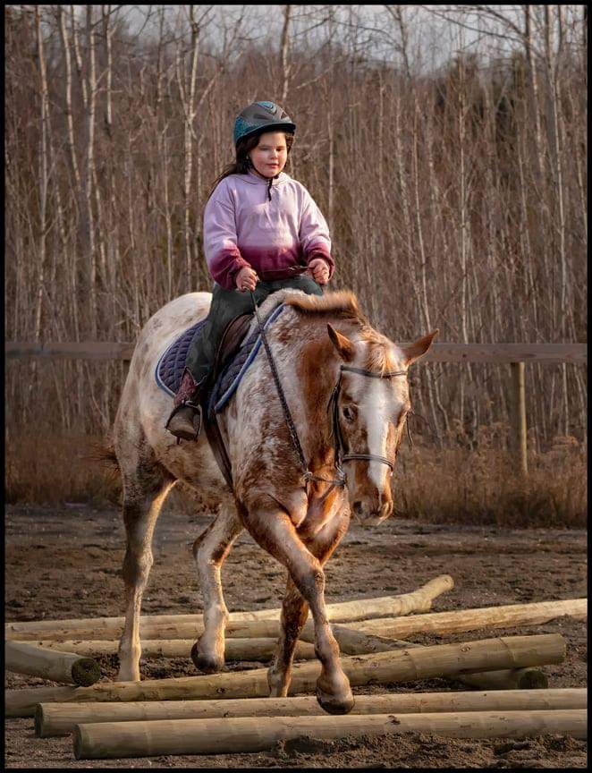 Open Arms Equestrian Center | 75 Eastern Pkwy, Germantown, NY 12526, USA | Phone: (518) 676-2767