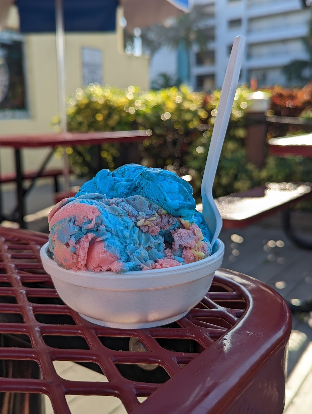 Tropical Ice Cream & Coffee | 435 Gulf Blvd, Indian Rocks Beach, FL 33785, USA | Phone: (727) 674-1500