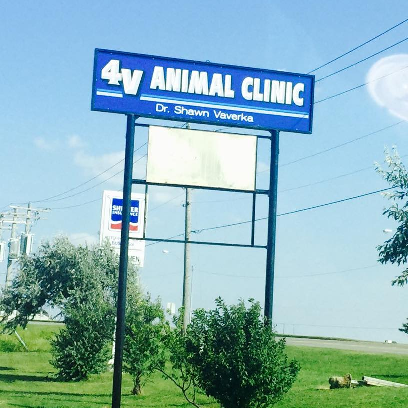 4V Animal Clinic | 1710 S Shepard Ave, El Reno, OK 73036, USA | Phone: (405) 262-2245