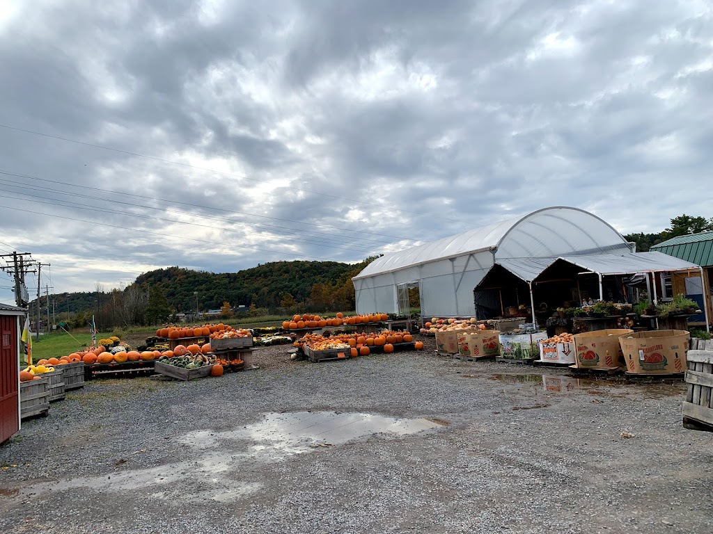 Farmer Jons (stand and sheds) | 1943 Rte 9W, Selkirk, NY 12158, USA | Phone: (518) 767-9211