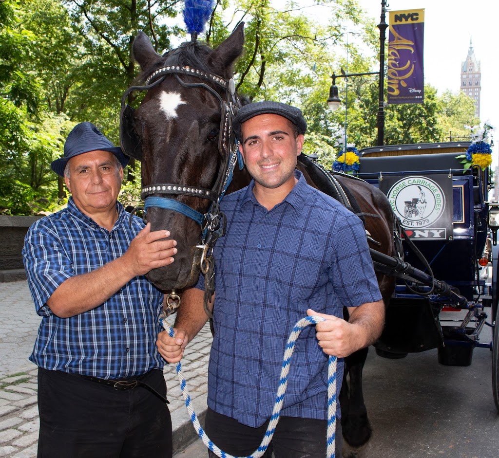 NYC Horse Carriage Rides™ EST.1979 | 7th Ave & West 59th Street, Central Park S, New York, NY 10019, USA | Phone: (516) 606-6212