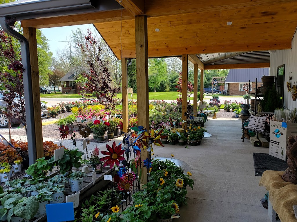 Meyers Greenhouse & Nursery, LLC | 1471 W St Louis St, Nashville, IL 62263, USA | Phone: (618) 327-3712