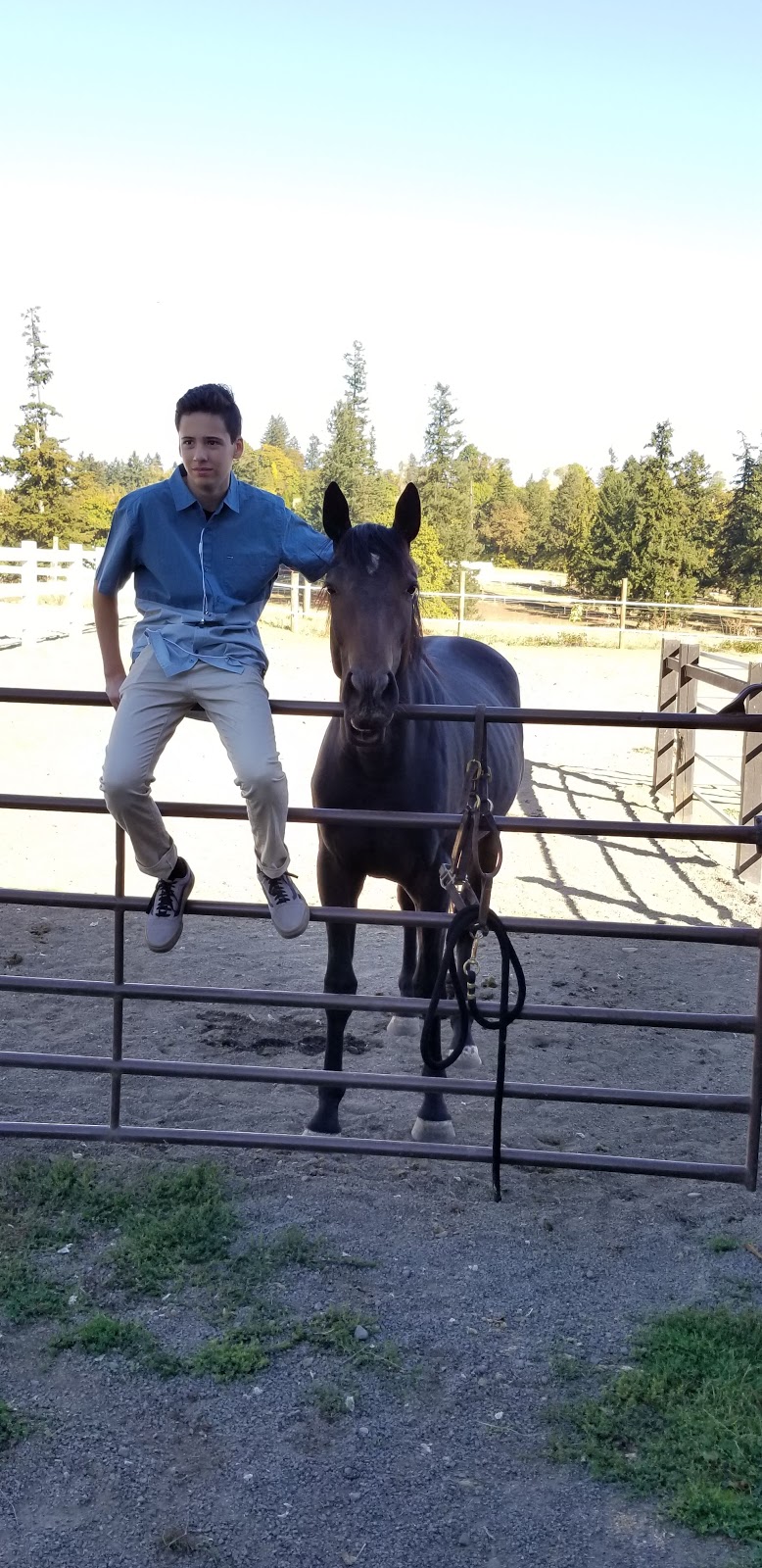 Petes Place Equestrian Training & Boarding | 22262 SW Stafford Rd, Tualatin, OR 97062, USA | Phone: (503) 927-7190