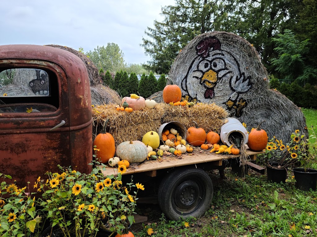 Howell Family Pumpkin Farm | 2878 Holland Rd, Fonthill, ON L0S 1E6, Canada | Phone: (905) 892-3918