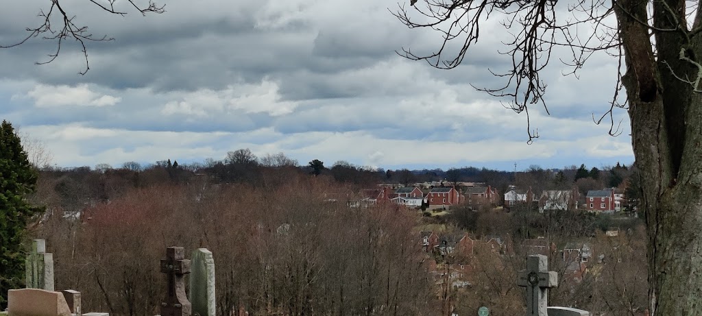 St Casimir Cemetery | 1507 Hamilton Rd, Pittsburgh, PA 15234, USA | Phone: (412) 381-2039