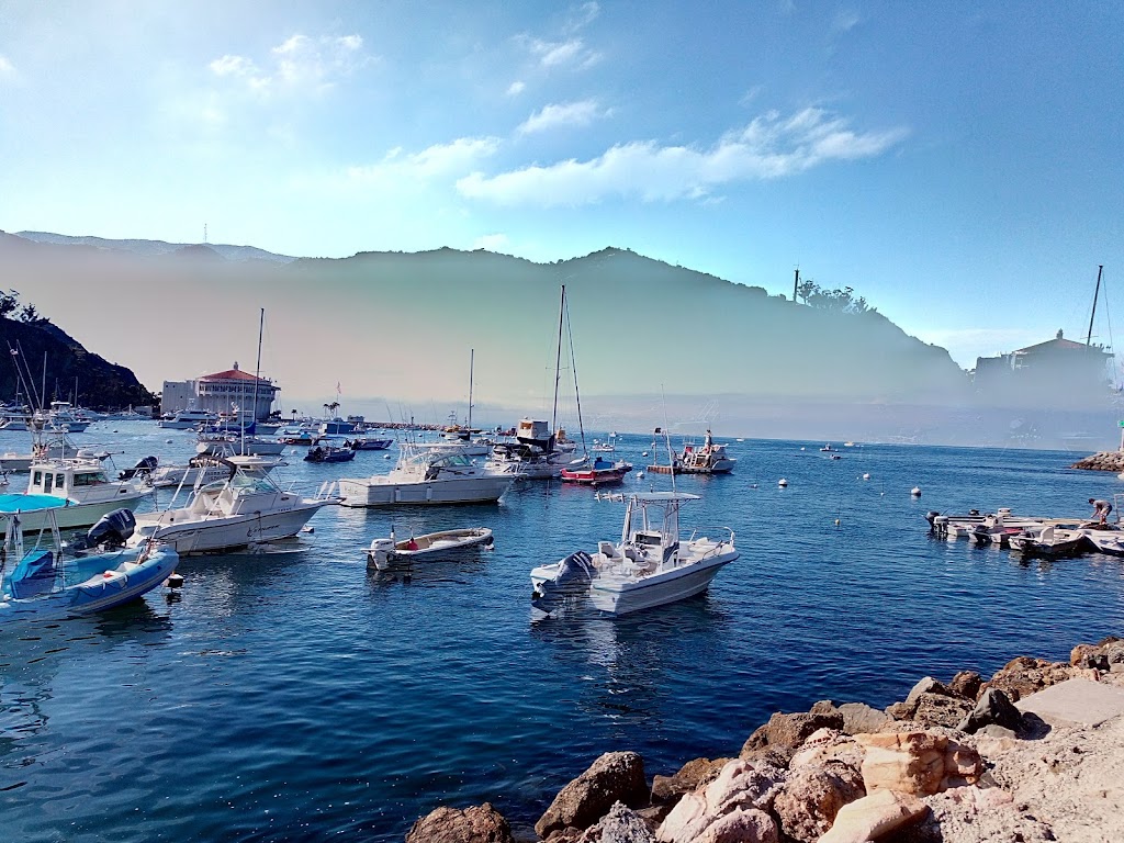 Snorkeling Catalina | 107 Pebbly Beach Rd, Avalon, CA 90704, USA | Phone: (310) 510-3175