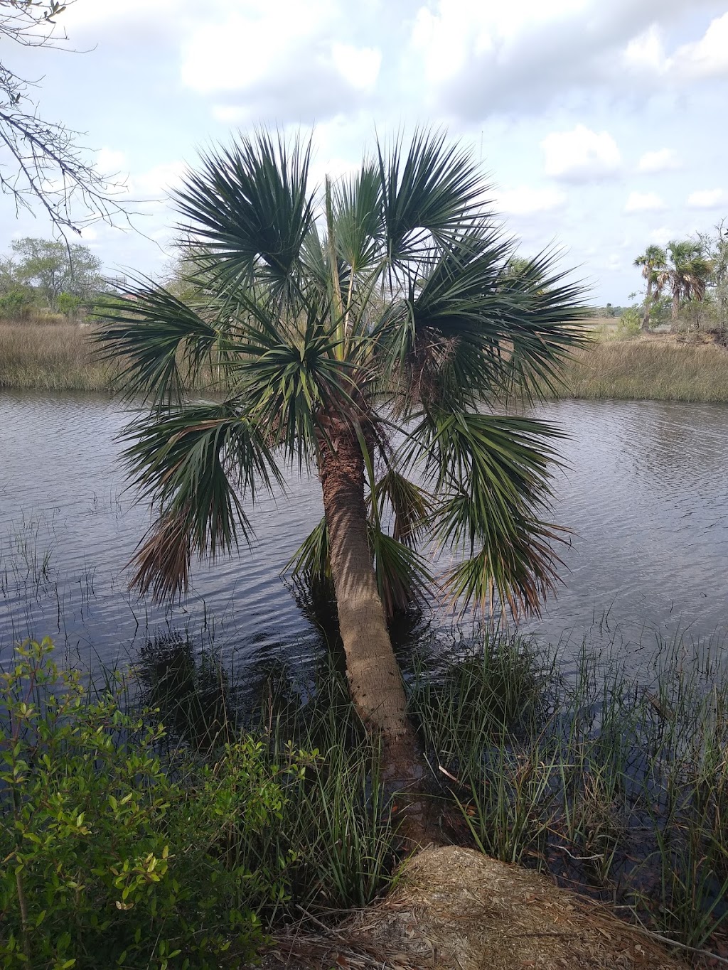 Tide Views Preserve | 1 Begonia St, Atlantic Beach, FL 32233, USA | Phone: (904) 247-5800