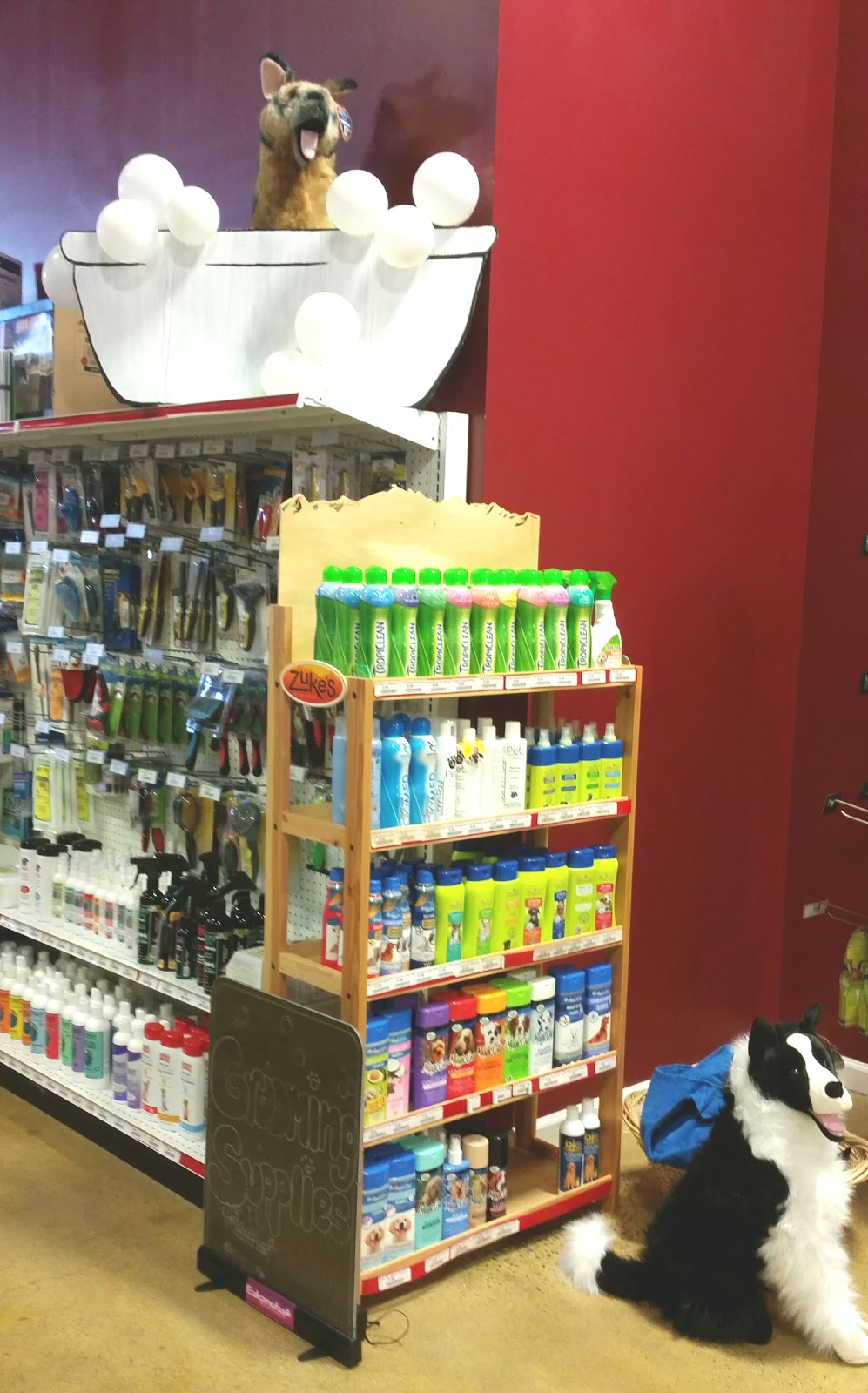One Of The Family Pet Supply | 288 Lincoln Blvd, Middlesex, NJ 08846, USA | Phone: (732) 564-1199