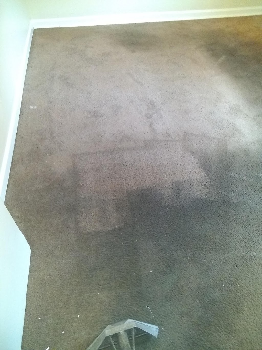 Premier Carpet Cleaning & Restoration LLC | 2301 Maggard Dr Suite 115, Lexington, KY 40511, USA | Phone: (859) 233-4784