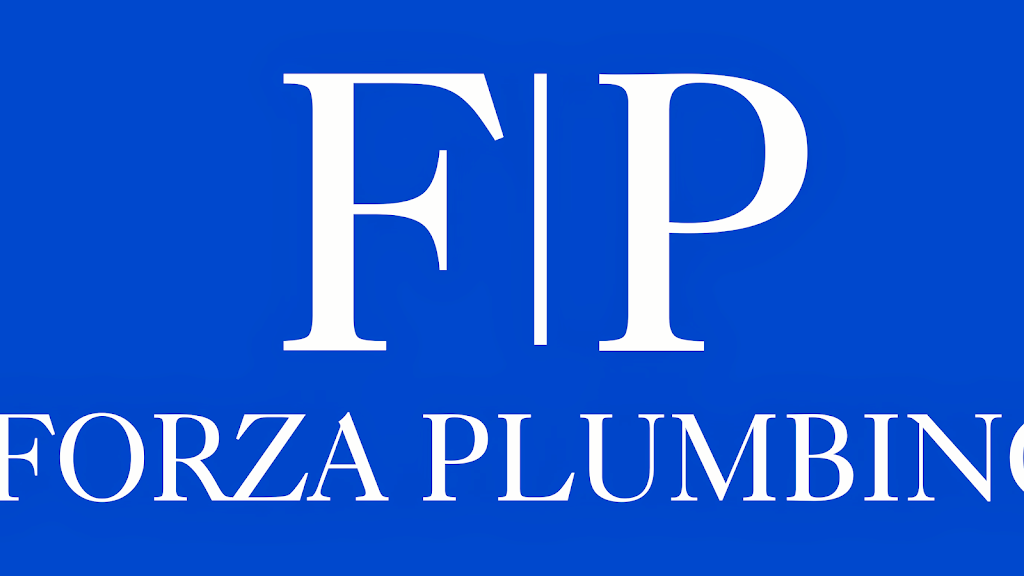 Forza Plumbing | 20028 Egret Pl, Santa Clarita, CA 91351, USA | Phone: (818) 606-0342