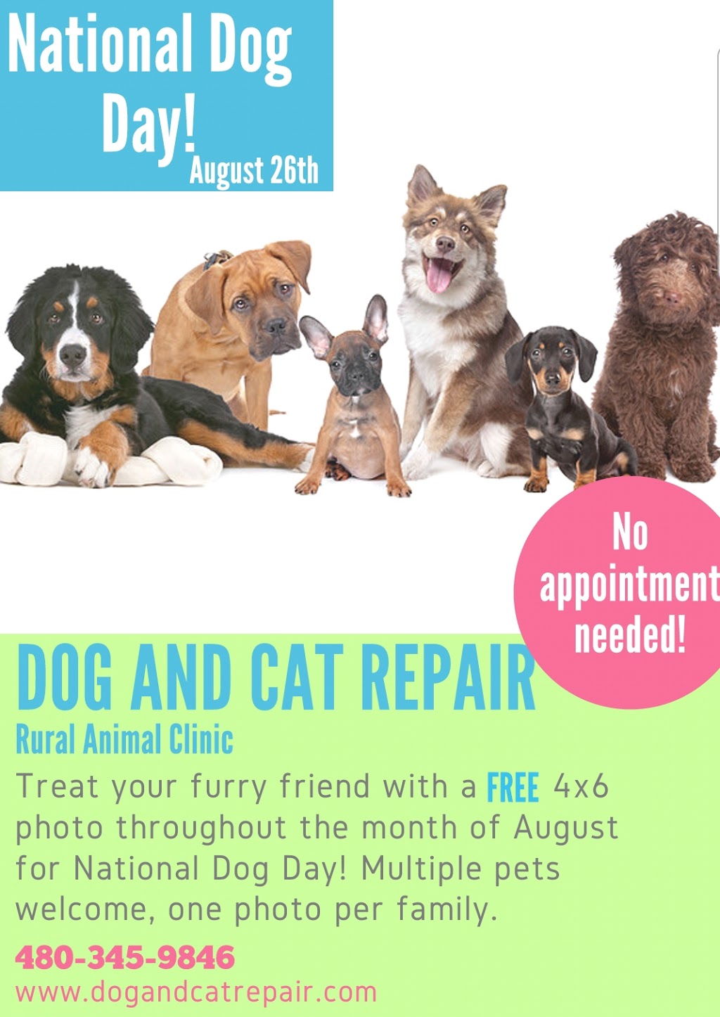 Rural Animal Clinic a.k.a Dog & Cat Repair | 7520 South Rural Road Suite #A1, Tempe, AZ 85283, USA | Phone: (480) 345-9846