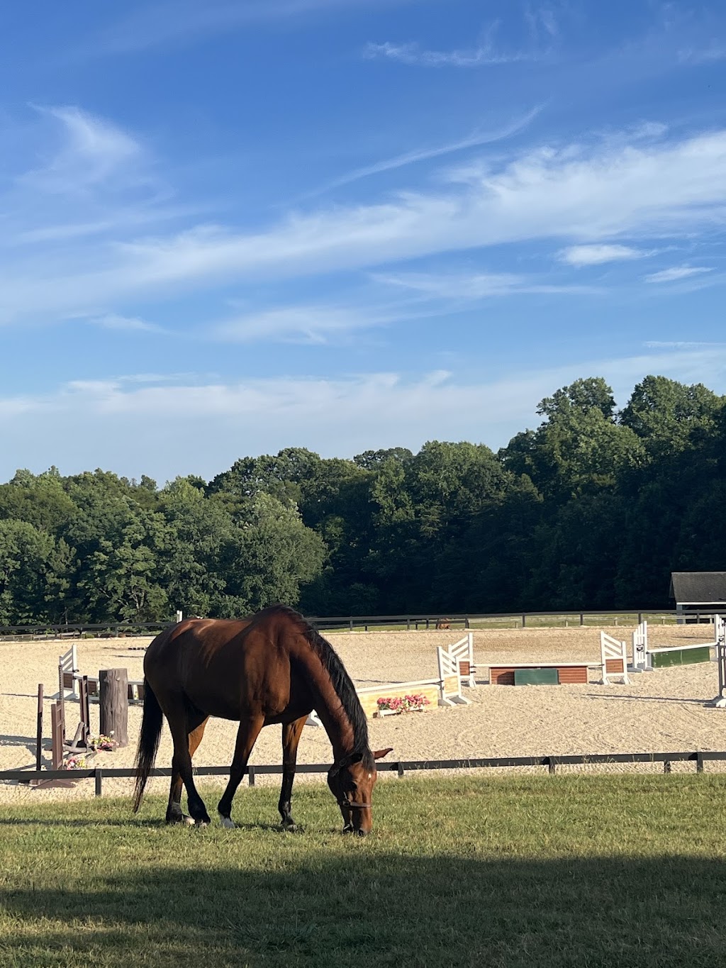 Briar Field Farm | 233 Bite Size Ln, Mooresville, NC 28115, USA | Phone: (704) 408-7719