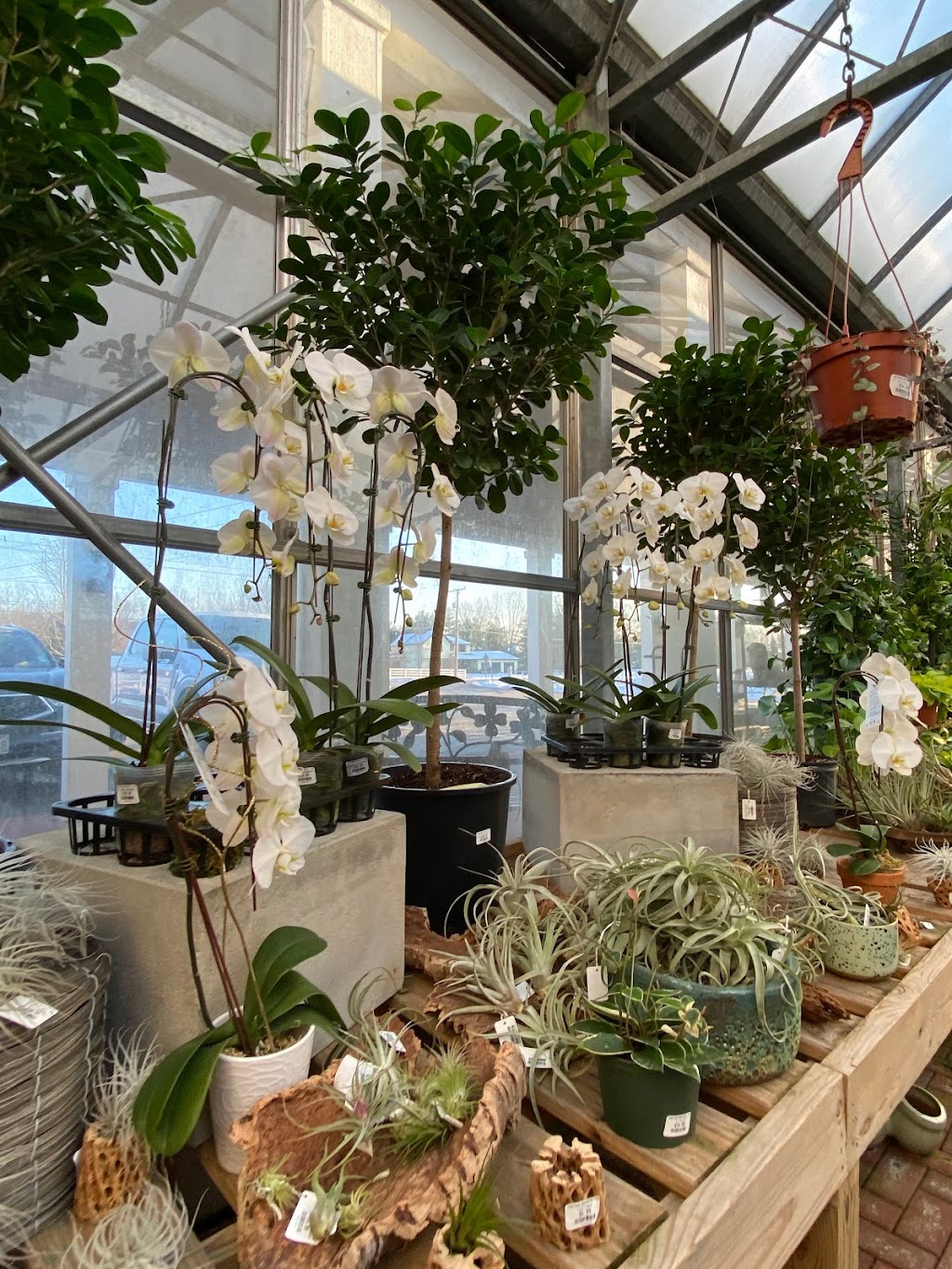 Oakland Nursery - New Albany | 5211 Johnstown Rd, New Albany, OH 43054, USA | Phone: (614) 917-1020