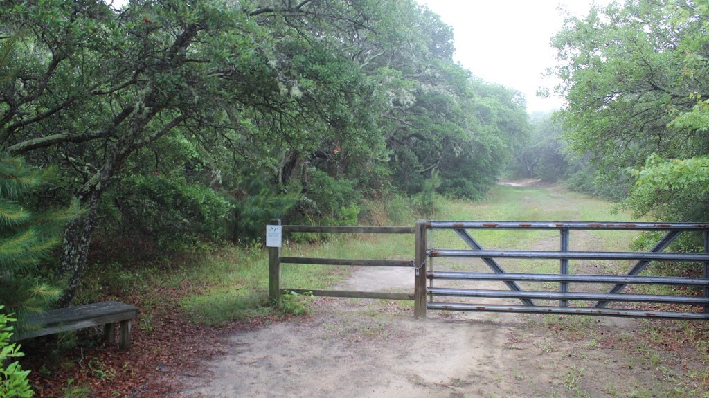 Pine Island Audubon Sanctuary | 300 Audubon Dr, Corolla, NC 27927, USA | Phone: (252) 453-0603