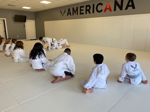 Americana Jiu Jitsu | 300 Lincoln Ave, Hawthorne, NJ 07506, USA | Phone: (201) 375-6650