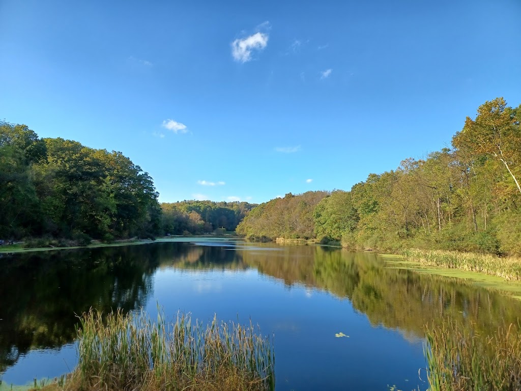 Bear Rock Lakes Wildlife Management Area | Valley Grove, WV 26060, USA | Phone: (304) 825-6787