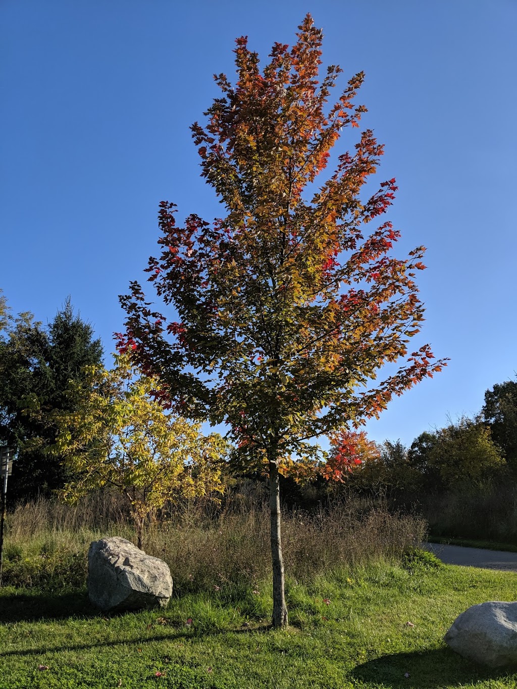 Waterford Oaks County Park | 1702 Scott Lake Rd, Waterford Twp, MI 48328, USA | Phone: (248) 858-0916