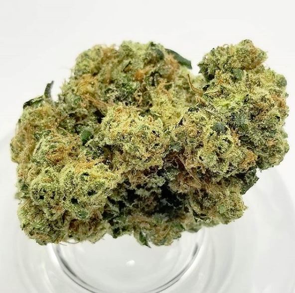 High Level Health Weed Dispensary Colfax | 2028 E Colfax Ave, Denver, CO 80206, USA | Phone: (303) 355-9333