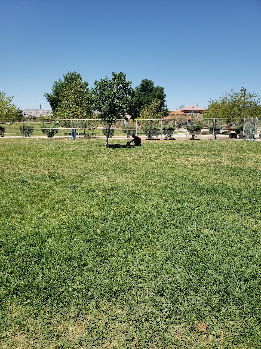 Spring Valley Community Park | 7600 W Flamingo Rd, Las Vegas, NV 89147, USA | Phone: (702) 455-8200