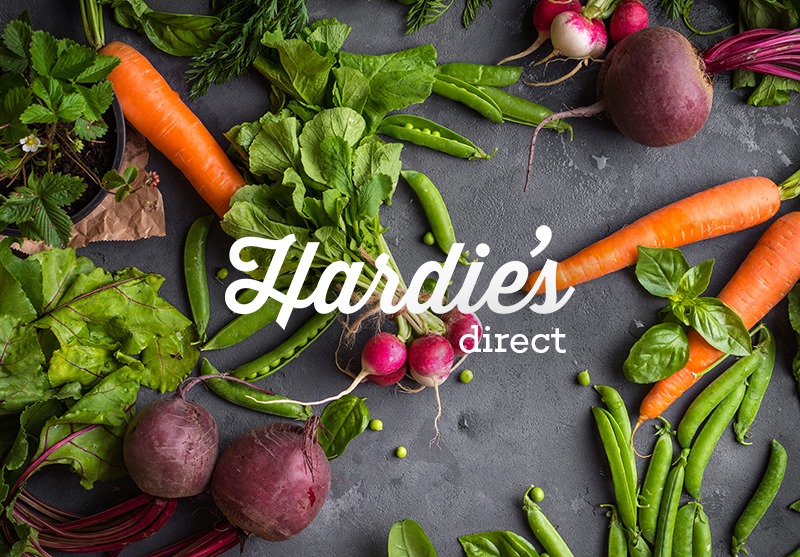 Hardies Direct Dallas | 1005 N Cockrell Hill Rd, Dallas, TX 75211, USA | Phone: (214) 426-5666