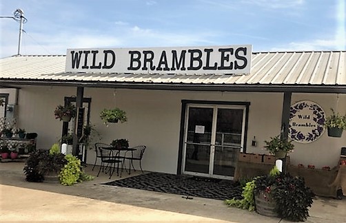 Wild Brambles | 12387 Ingalls Ln NE, Woodburn, OR 97071, USA | Phone: (503) 701-5535