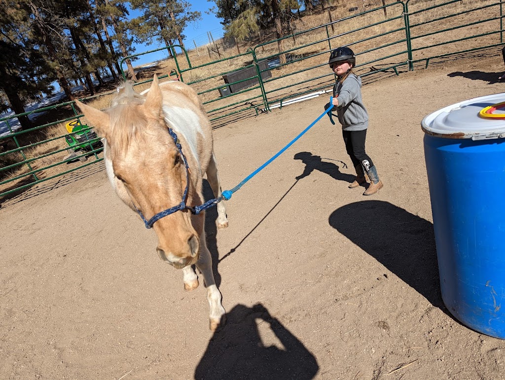 Connections Through Horses | 4817 National Western Dr, Denver, CO 80216 | Phone: (303) 646-6166