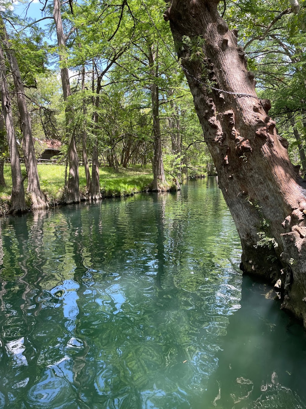 Blue Hole Primary | 15900 Winters Mill Pkwy, Wimberley, TX 78676, USA | Phone: (512) 847-3407