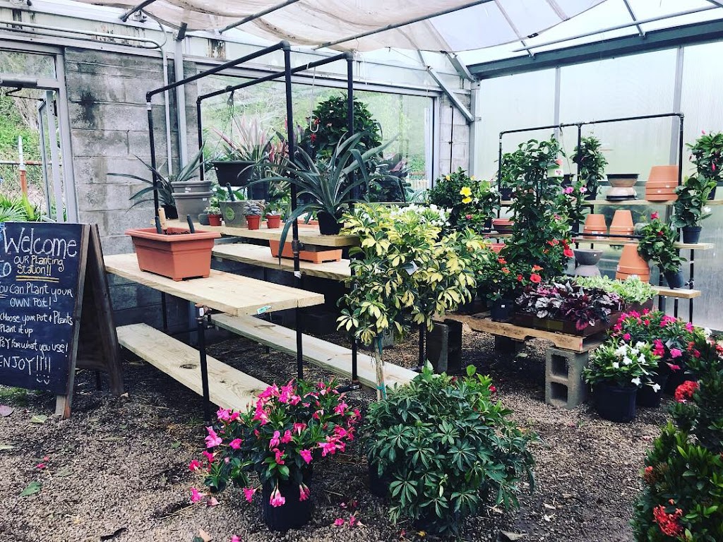 Kubrick Brothers Garden Center | 329 Coxcomb Hill Rd, New Kensington, PA 15068, USA | Phone: (724) 339-8330