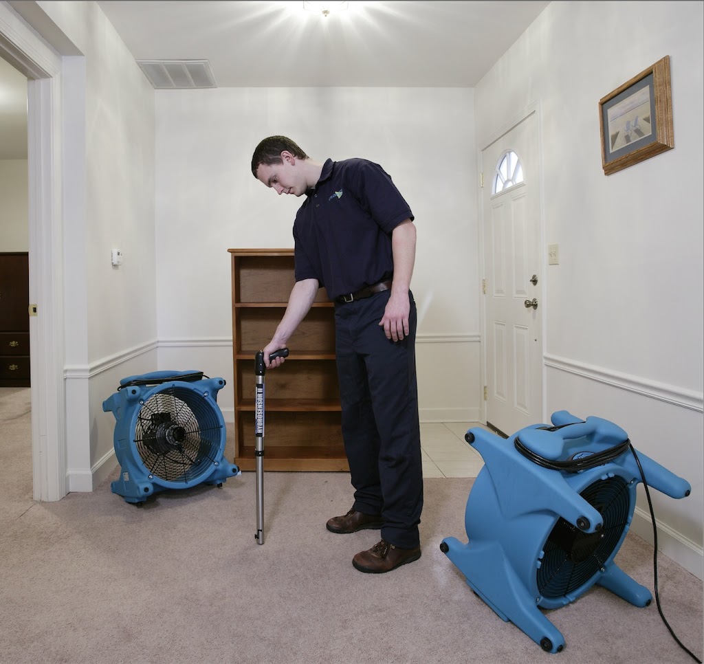 Tanin Carpet Cleaning, Water Damage, Mold Removal Arlington Hts | 1400 E Lillian Ave, Arlington Heights, IL 60004, USA | Phone: (847) 345-4774