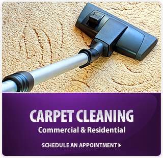 Mayfairs Joker Cleaning | 3120 W Carefree Hwy, Phoenix, AZ 85086, USA | Phone: (623) 582-0000