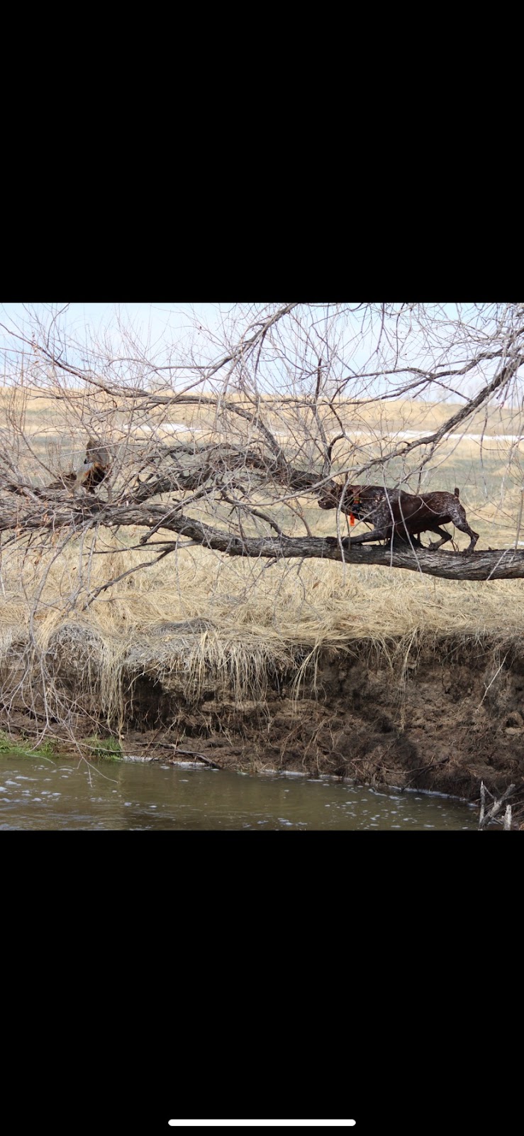 Boone Outfitters | Cr 6 and, S 19th Ave, Brighton, CO 80603, USA | Phone: (970) 445-8226