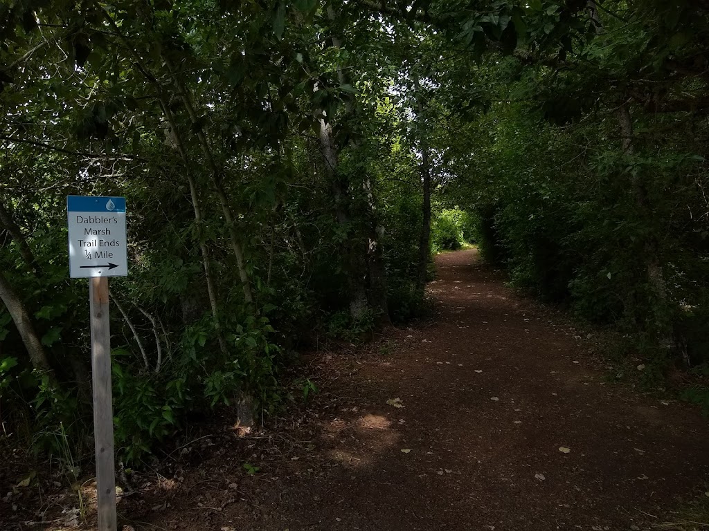 Dabblers Marsh Trail | Fernhill Wetlands Nature Trail, Forest Grove, OR 97116, USA | Phone: (503) 681-3600