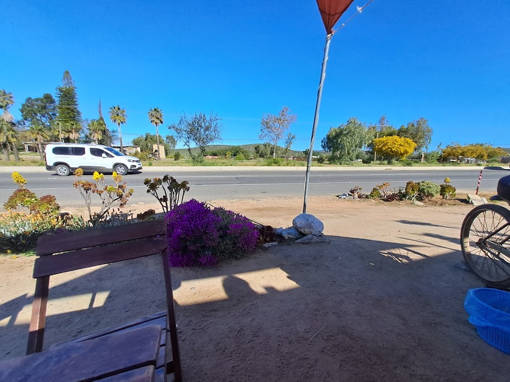 RUGGIEROS COFFEE & CO | México 3 92, 22766 Francisco Zarco, B.C., Mexico | Phone: 646 211 4901