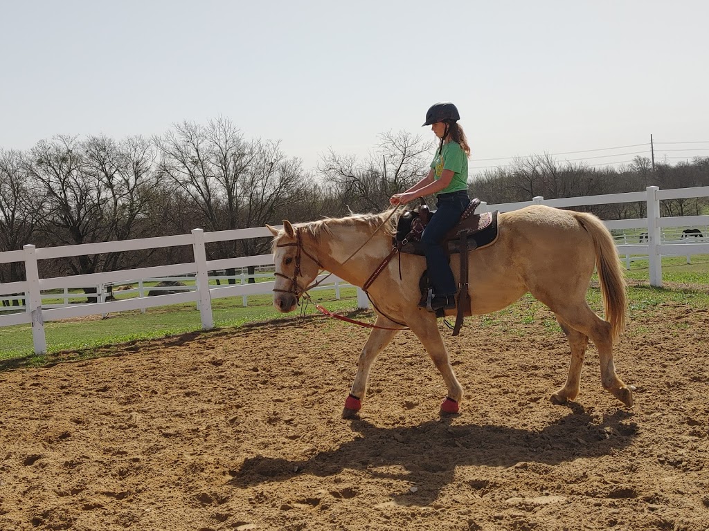 Lake Trail Stables | 5490 Rocky Creek Park Rd, Crowley, TX 76036, USA | Phone: (817) 291-8163