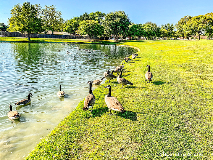 Linda Spurlock Park | 6400 Glenview Dr, North Richland Hills, TX 76180, USA | Phone: (817) 590-8049