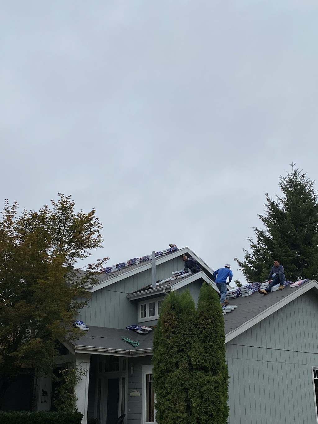 Lobo Roofing, LLC | 8303 19th Ave E, Tacoma, WA 98404, USA | Phone: (253) 563-1539