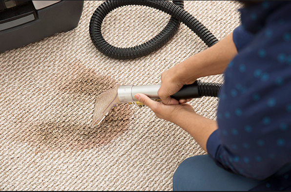 Carpet Cleaning Irving TX | 2310 W Shady Grove Rd, Irving, TX 75060, USA | Phone: (214) 519-8493